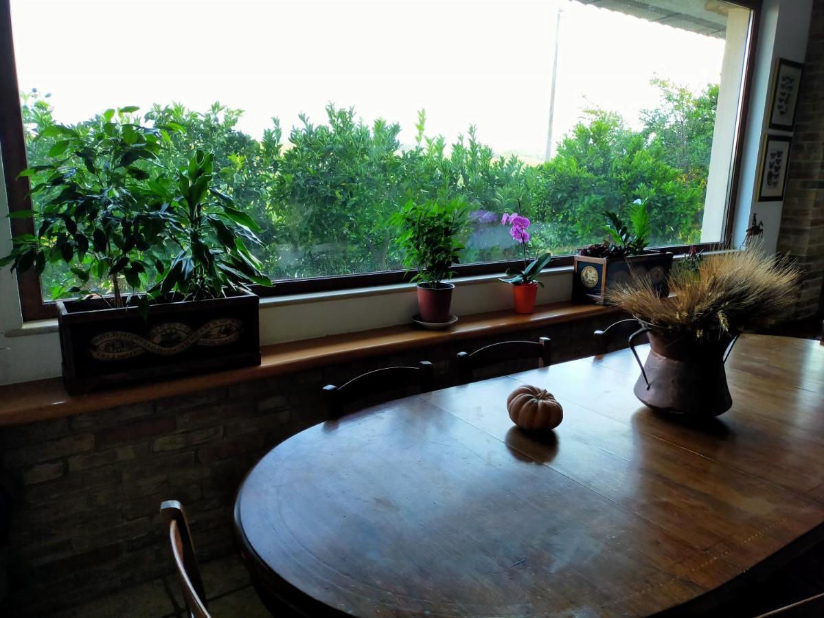 Casale Del Sole Bed & Breakfast Cepagatti Ngoại thất bức ảnh